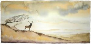 Distant Moorland The Hartland Stag